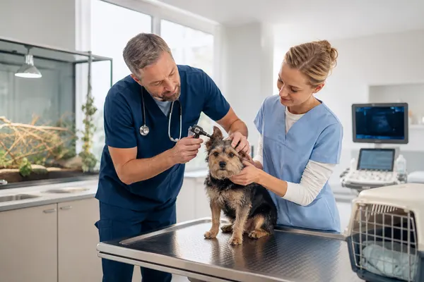 Tierklinik Alstertal