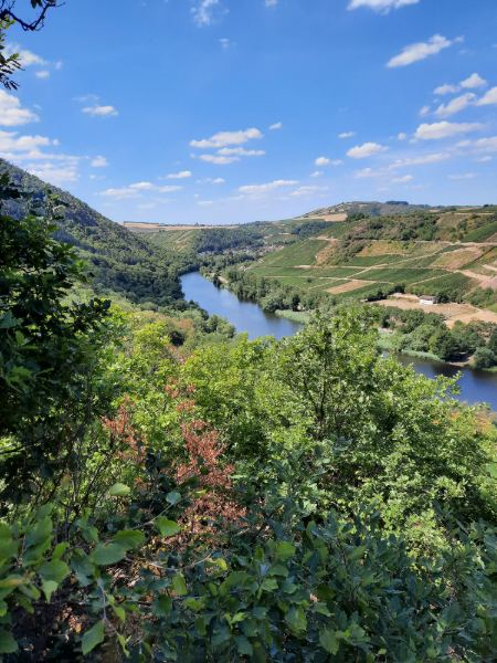 20220801_Wandern